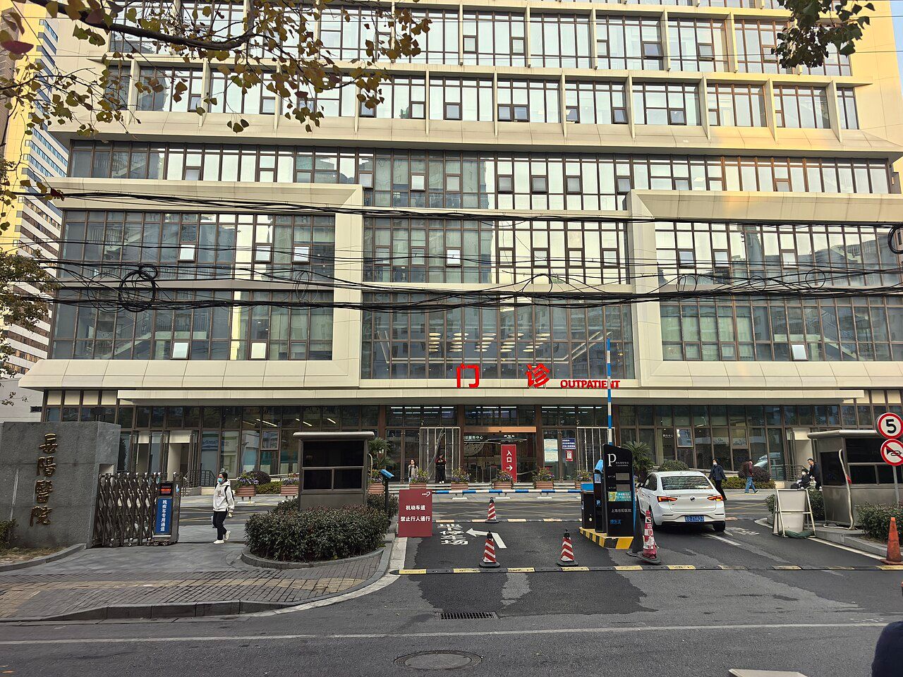 Yueyang Hospital of Integrated Traditional Chinese and Western Medicine, Shanghai University of Traditional Chinese Medicine