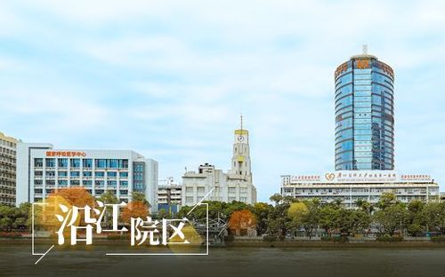 The First Affiliated Hospital of Guangzhou Medical University